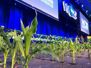 View from the Cab: Impressive as always