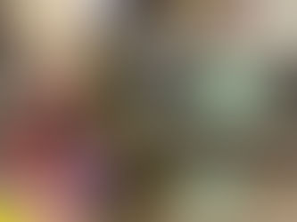 Stadel ends on a high note