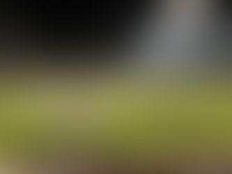 Hawks fall in opener