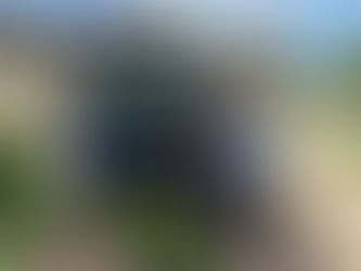 Compass welcomes new agent