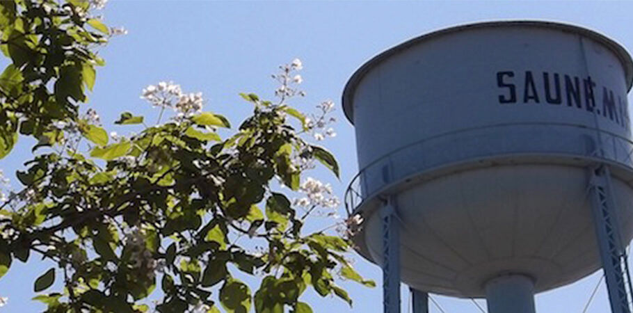 Saunemin Days set for late June