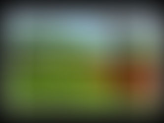 Rural electrification a big deal