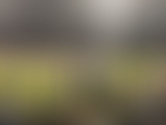 Hawks drop one to Unity