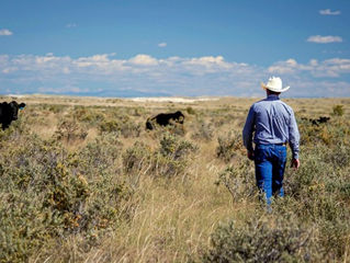 Ranchers First initiative announced