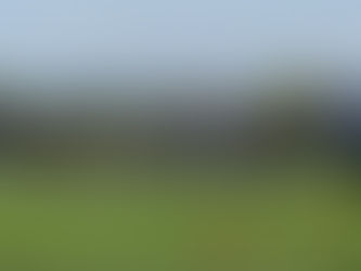 Heat-related calls at band event