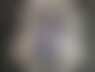 Troehlers part of local history