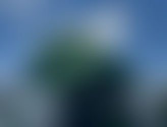 Deere announces biodiesel compatability