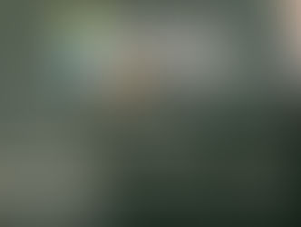 New format for Soy Summit