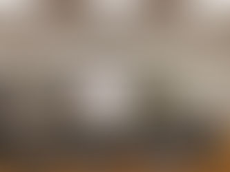 Therapy dog in the works