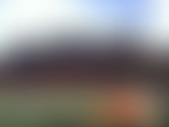 Illinois #12 in preseason poll