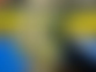 20 years and counting for Pontiac FFA