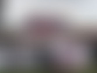 'They came in full force'