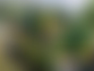 Penfield to be invaded by green