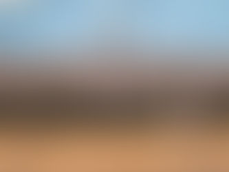 Large ISP cadet class graduates