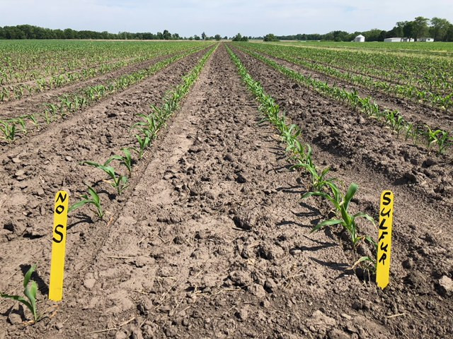 Photo courtesy of Yale Young of Brandt Consolidated.