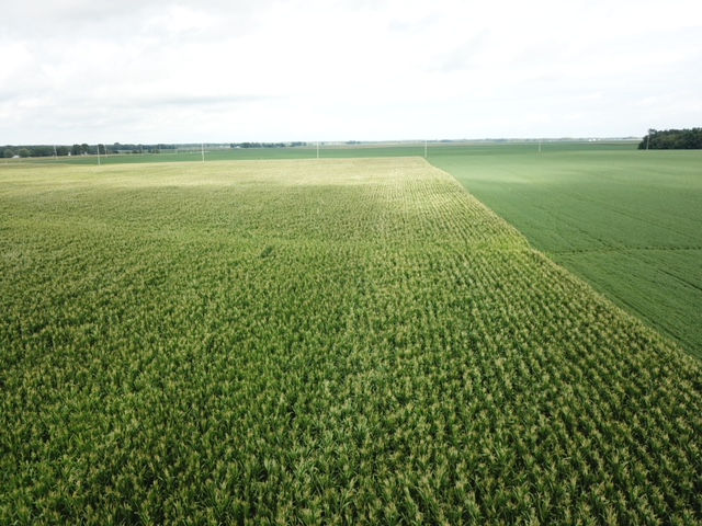 Photo of an area field, courtesy of Tom Kahle for the CIFN.