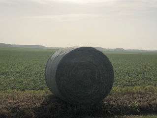 Cash rents are climbing