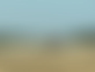 ICGA statement on fertilizer investigation