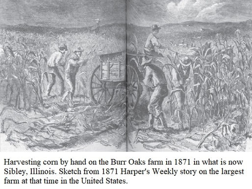 Miraculous improvement in yield