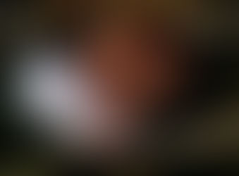 Land trade show coming to Bloomington