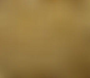 Sorensen discusses key soy issues