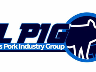 IL PIG candidates announced