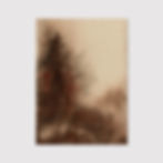 Thumbnail: "Misty Mornings" Art Print