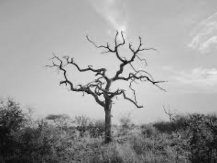 Spiritual Sickness
