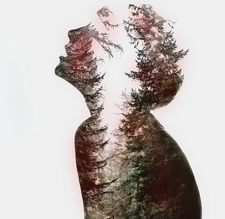 Untitled design (1).png