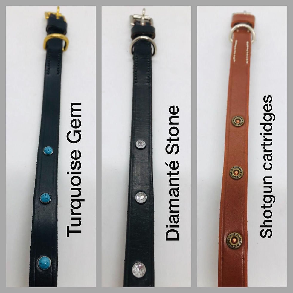 Thumbnail: Traditional Dog Collar (Width 4)