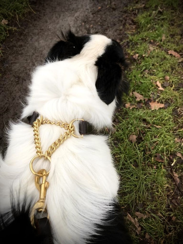 Martingale Adjustable Dog Collar |Handmade By Sarah