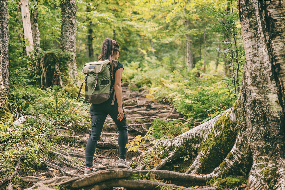 Personne marchant sur un chemin escarpé en forêt symbolisant le burn-in et l’effort intérieur avant l’épuisement