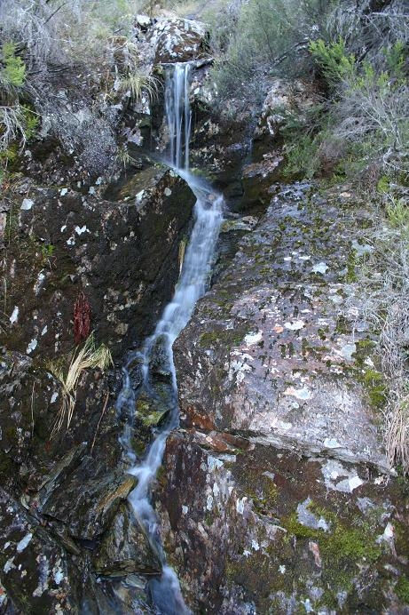 Miniatura: 8. Spray Áurico ERKS - 60 ml.