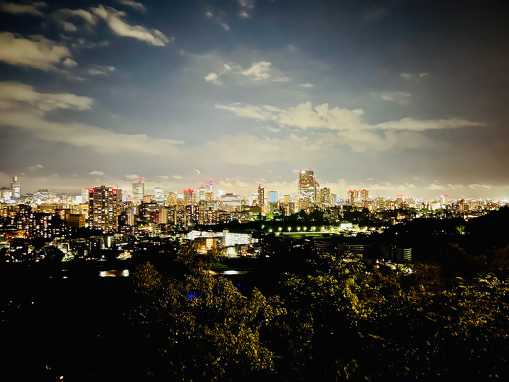 View from Sendai Castle