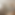 freepik__bright-inviting-interior-of-a-structured-sober-liv__95651.png