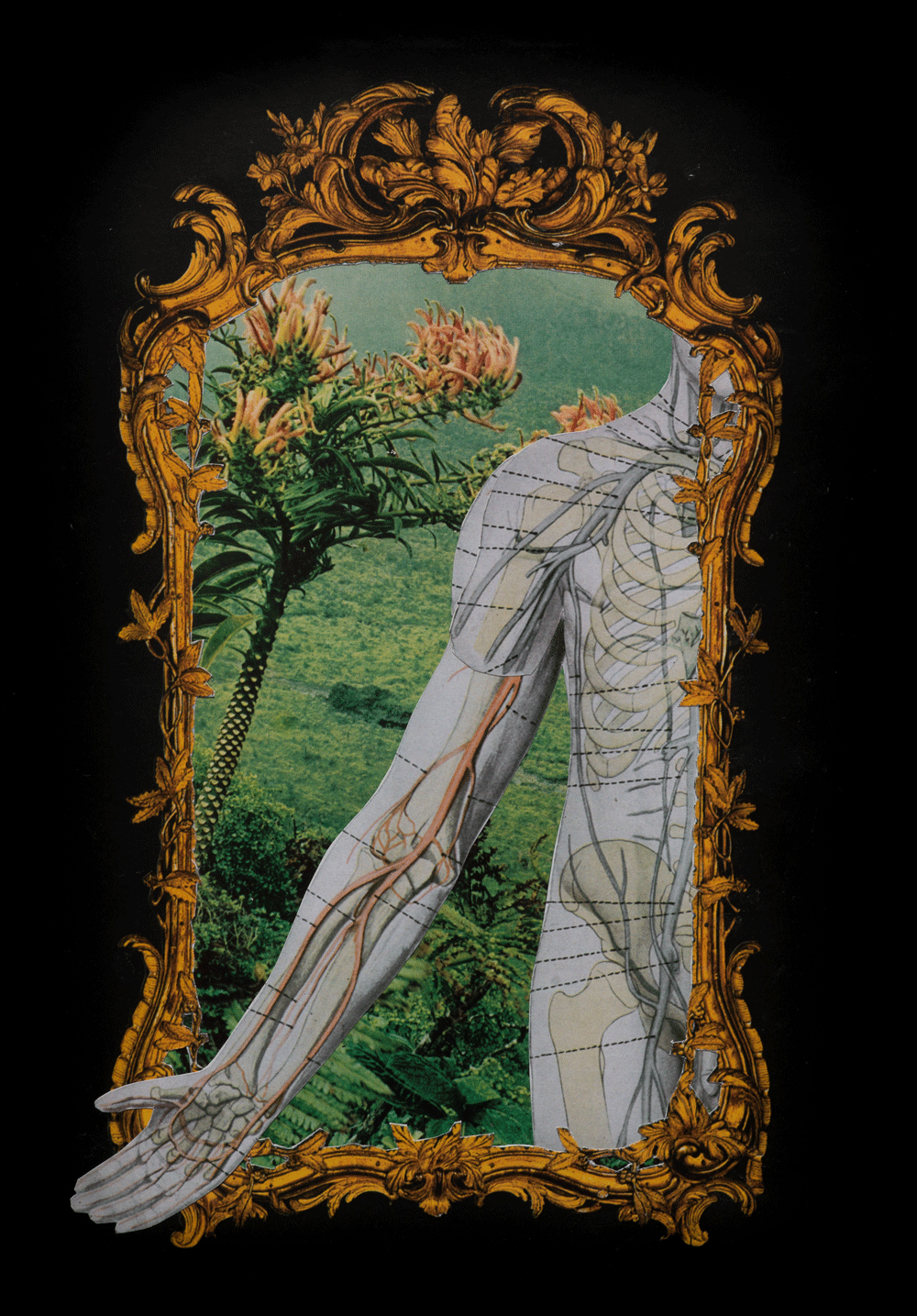 The Mirror