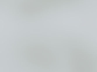 Minimalistisch