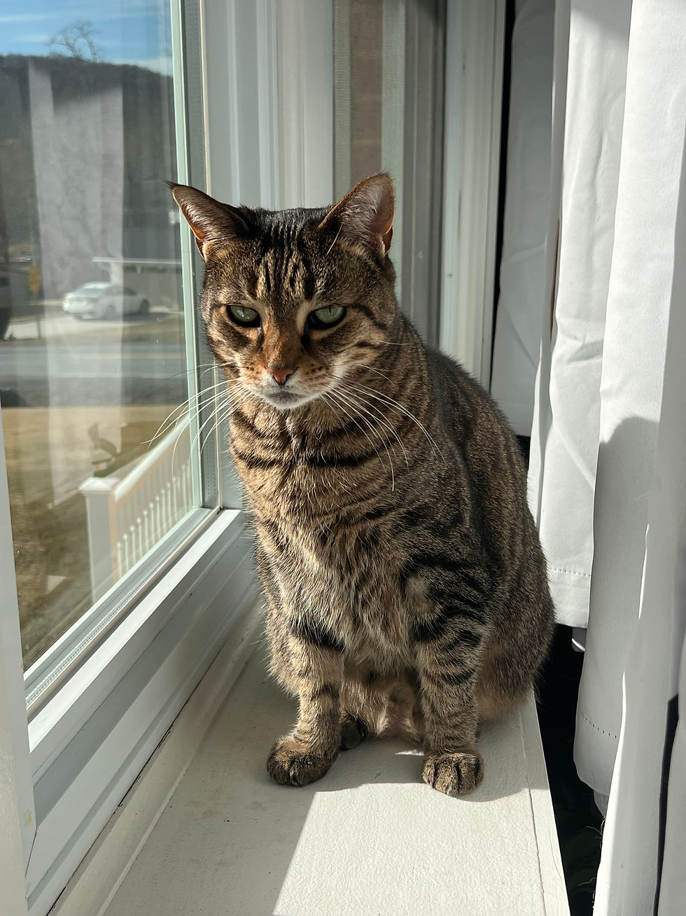 Sugie_window.jpeg