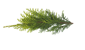 Giving Tuesday socials FINAL (1760 x 480 px) (1728 x 864 px) (1) - Copy.png