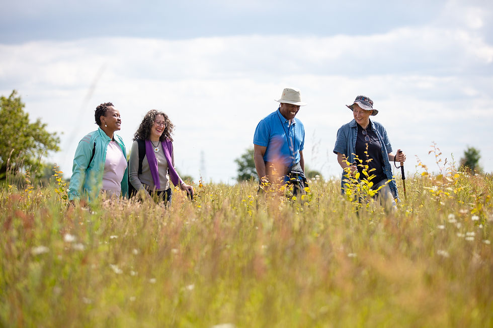 Four adults smile while hiking through a sunlit wildflower meadow, holding trekking poles under a bright sky.