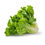 Thumbnail: Escarole                                                                Each One