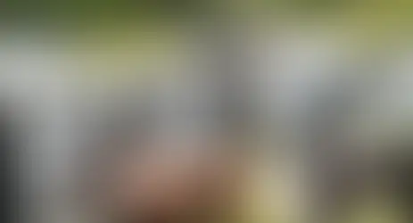 Get Out on the Trail: Why Horse Trail Pacing is the Perfect Outdoor Activity