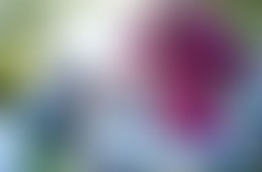 Forget about "acting your age" 