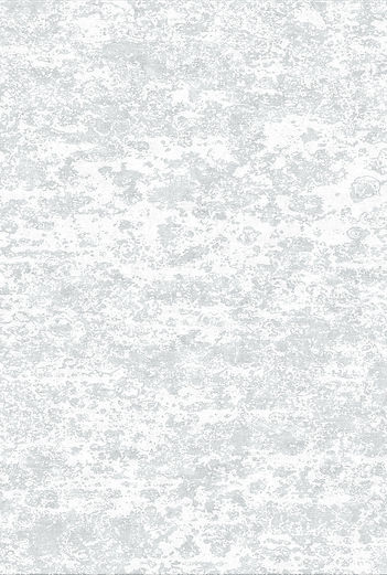 CSS-1014 C1