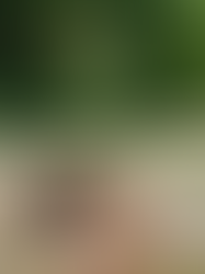 A Gentle Addition to My Wellness Routine: Trying Promeed