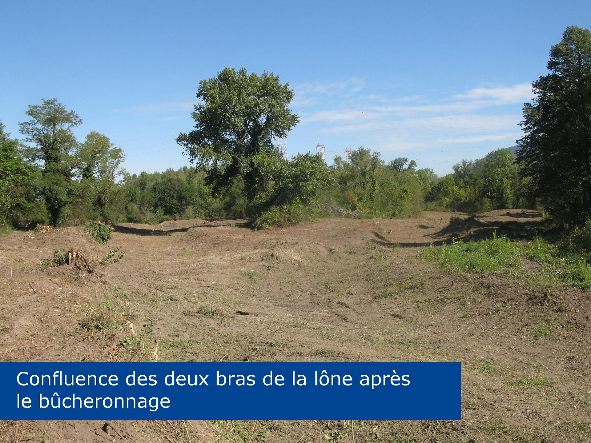 Début : le bûcheronnage