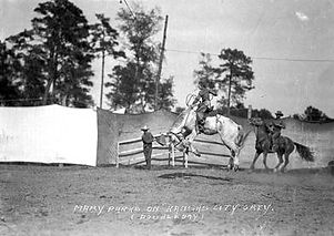 bucking a horse at a rodeo 