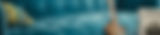 sixstrings_spreuk_bg.jpg