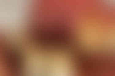 A try-in of the final prosthesis was performed at the 1-month mark.