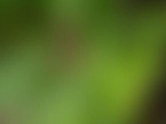 復活節第５主日《ティエン神父》